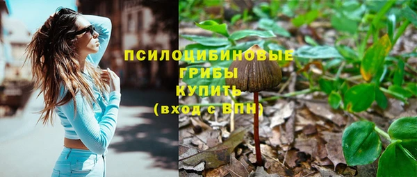 мяу мяу мука Армянск