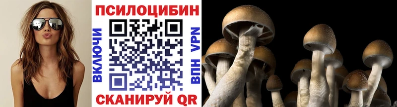 Галлюциногенные грибы Psilocybine cubensis Нефтегорск
